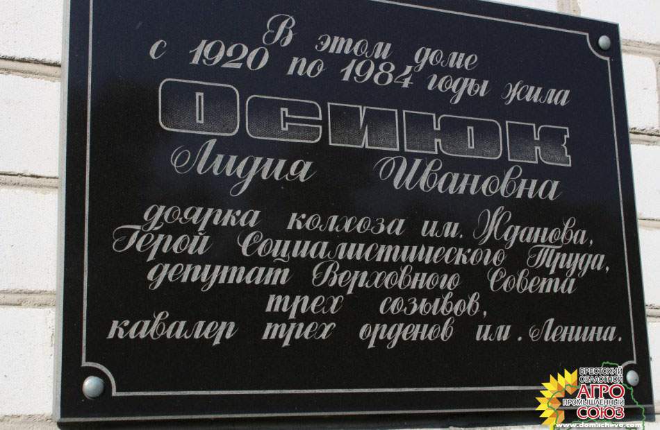 Мемориальная доска в д. Борисы