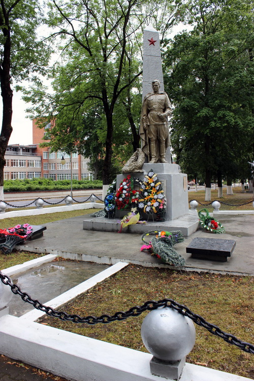 Братская могила в городе Свислочь (общий вид)