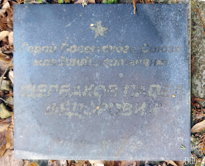 Воинское кладбище в городе Жагань (вид 3)
