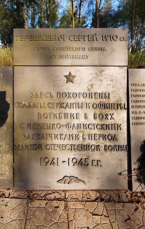 Братская могила в деревне Вешевка (вид 2)