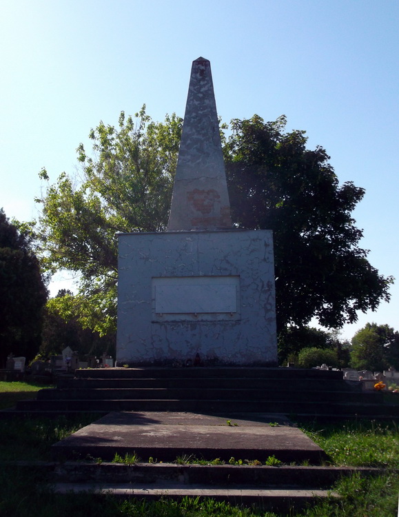 Братская могила в городе Мартонвашар (общий вид)