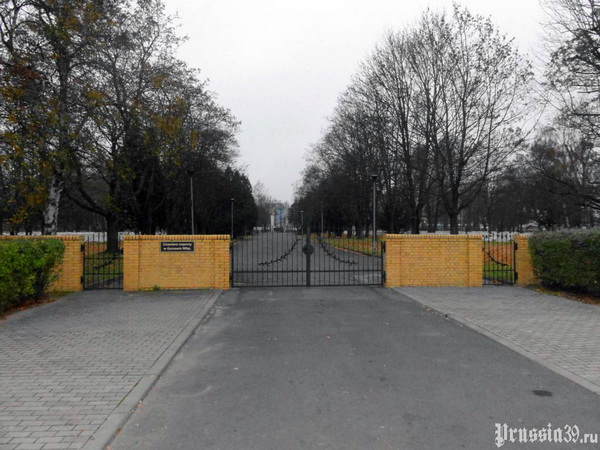 Воинское кладбище в городе Гожув-Великопольски (общий вид)