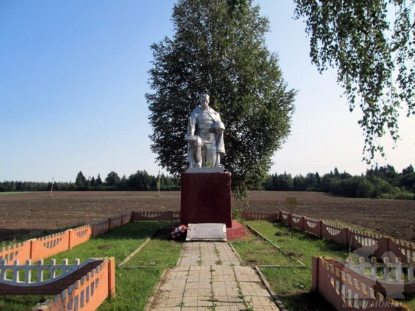 Братская могила в деревне Фролковичи (общий вид)