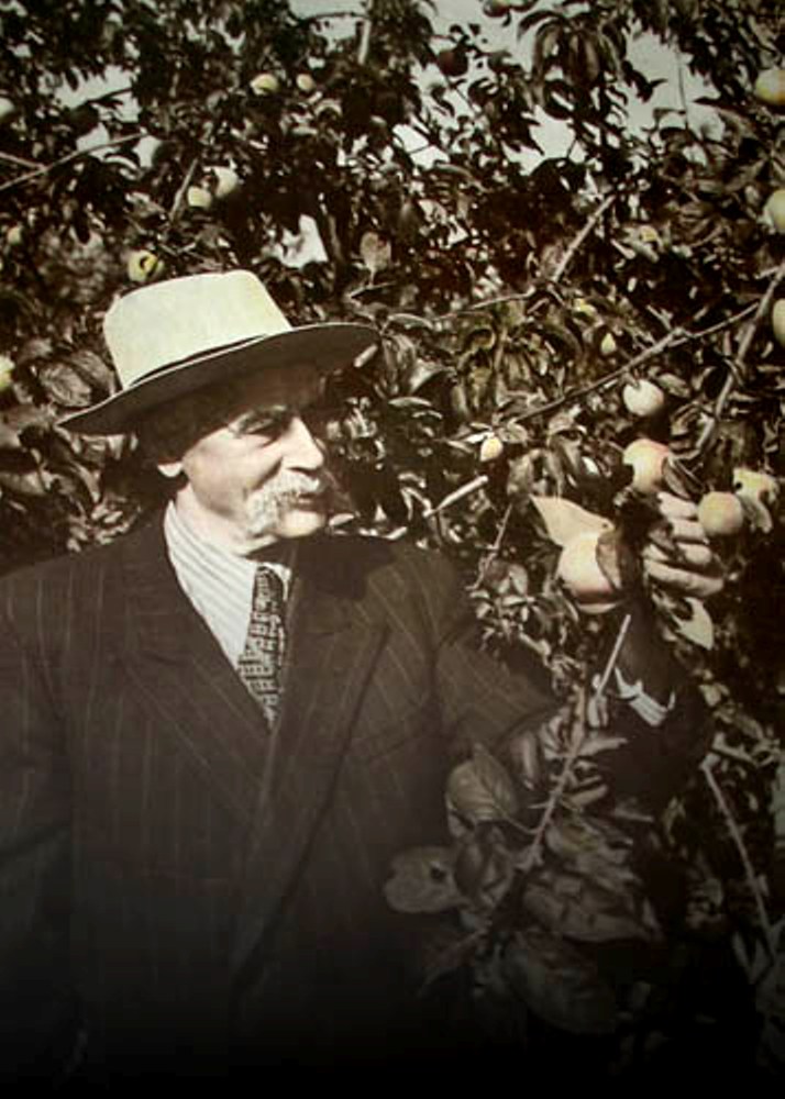 С.Ф.Черненко в саду