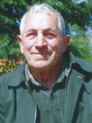 В.М.Воронин, 2000-2010-е годы