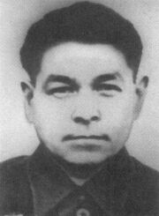 Сафин Нурулла Давлетгареевич