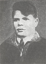 Востриков Василий Дмитриевич