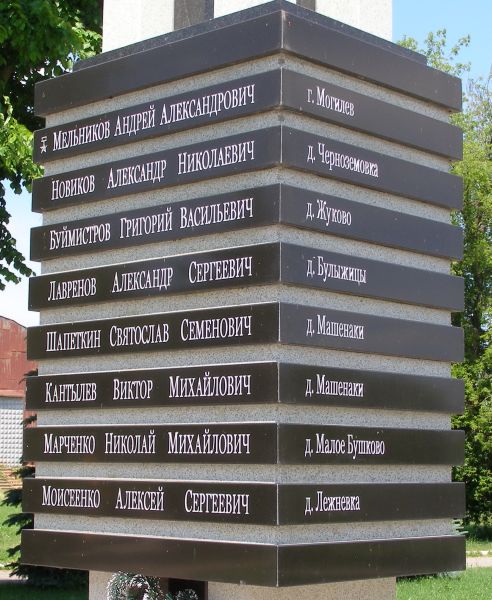 В дер Буйничи Могилёвского района (вид 3)