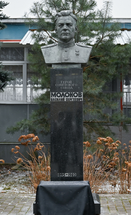Бюст в Молоково