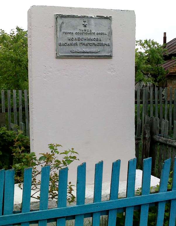 Стела в селе Новодевичье