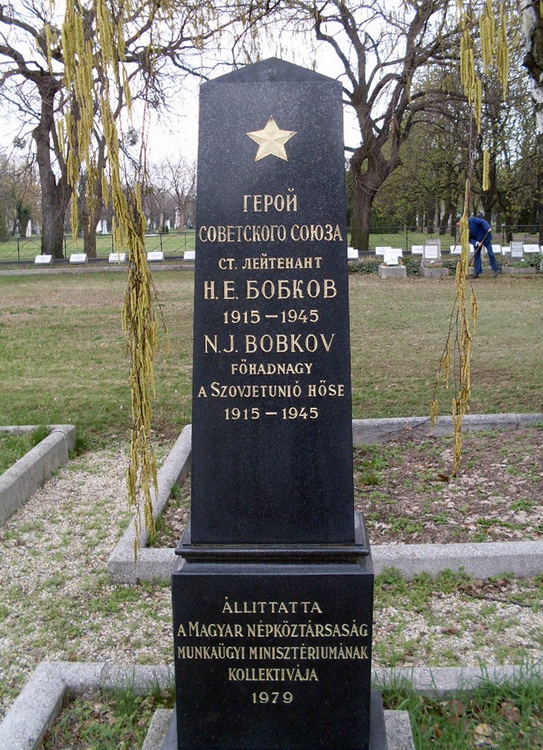 Воинское кладбище в городе Будапешт (вид 2)