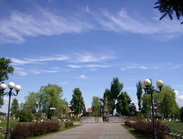 Воинское кладбище в городе Гарволин (общий вид)