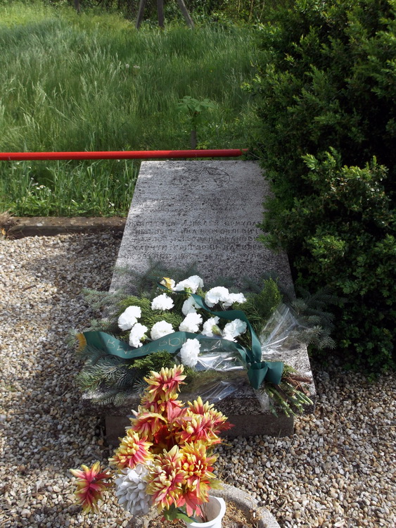 Братская могила в городе Яношшоморья (общий вид)