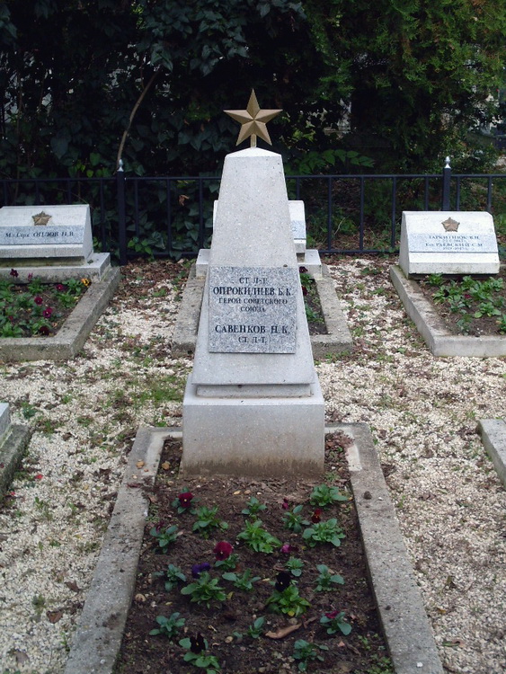 Воинское кладбище в городе Будапешт (вид 2)
