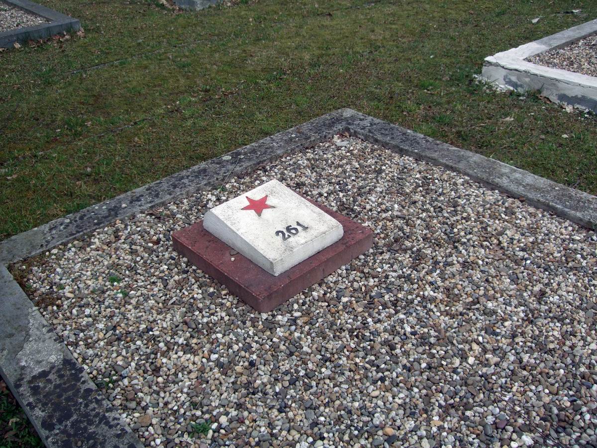 Воинское кладбище в городе Кендзежин-Козле (вид  2)