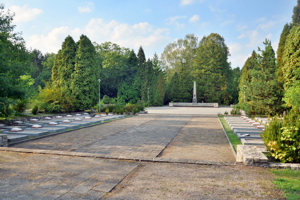 Воинское кладбище в городе Кендзежин Козле (общий вид)