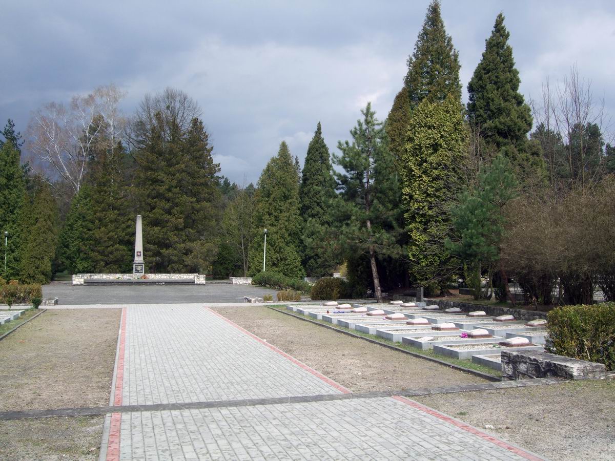 Воинское кладбище в городе Кендзежин-Козле (общий вид)