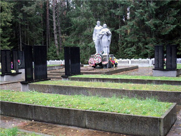 Братская могила в деревне Быново (общий вид)