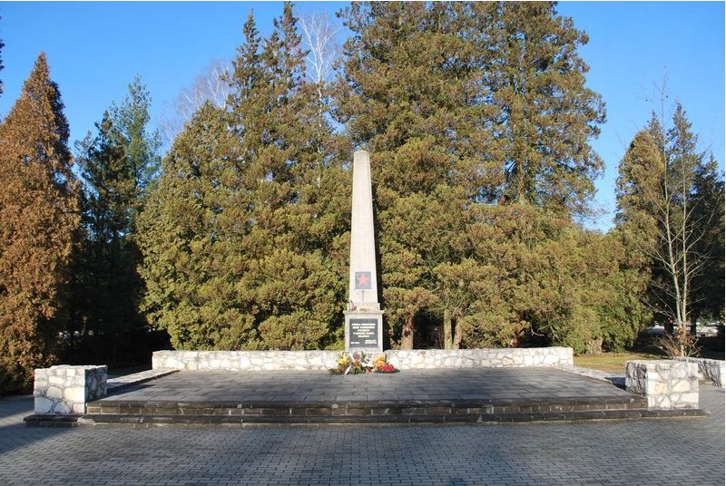 Воинское кладбище в городе Кендзежин Козле (общий вид)