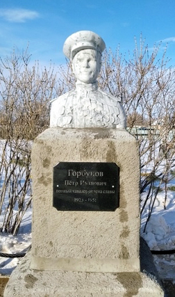 Бюст в селе Линёвка