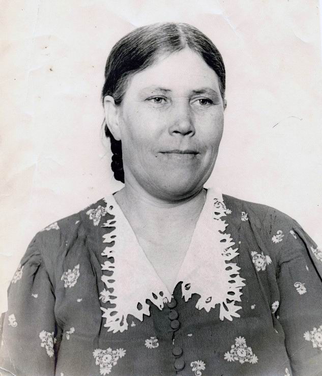 Н. М. Кривошей