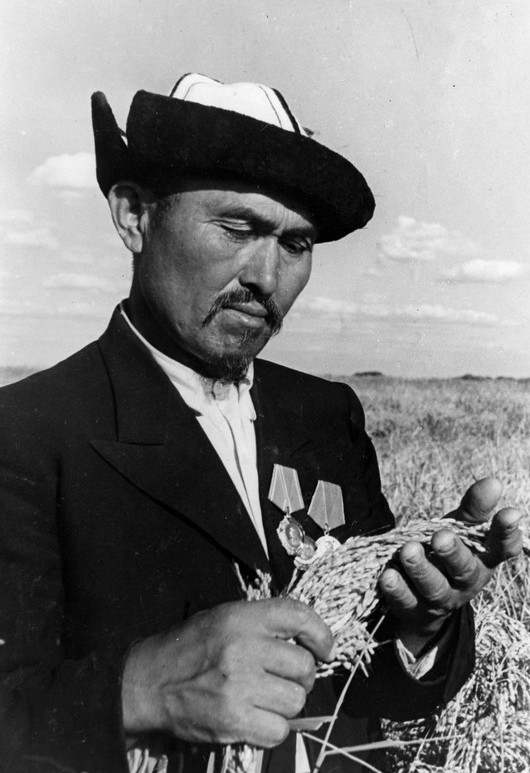 И. Жахаев