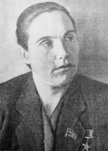 Е. И. Николаева