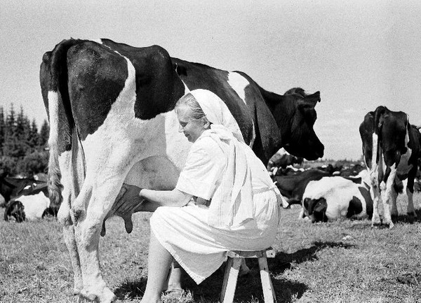 Л. О. Винкель, 1954