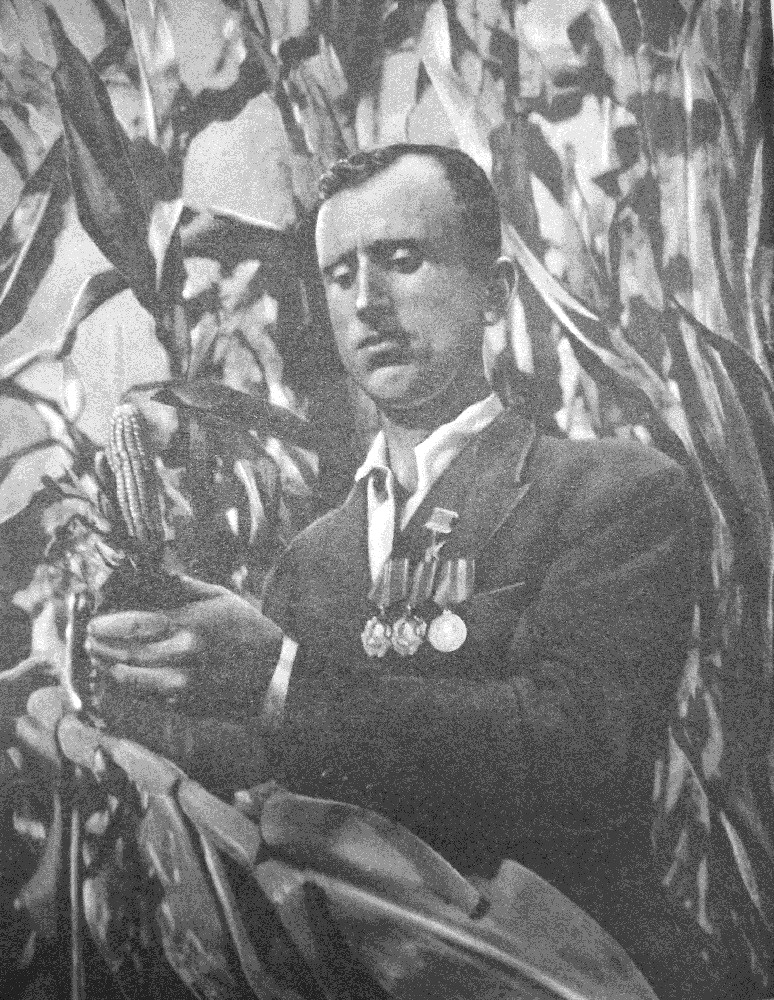 Д.М. Ригвава