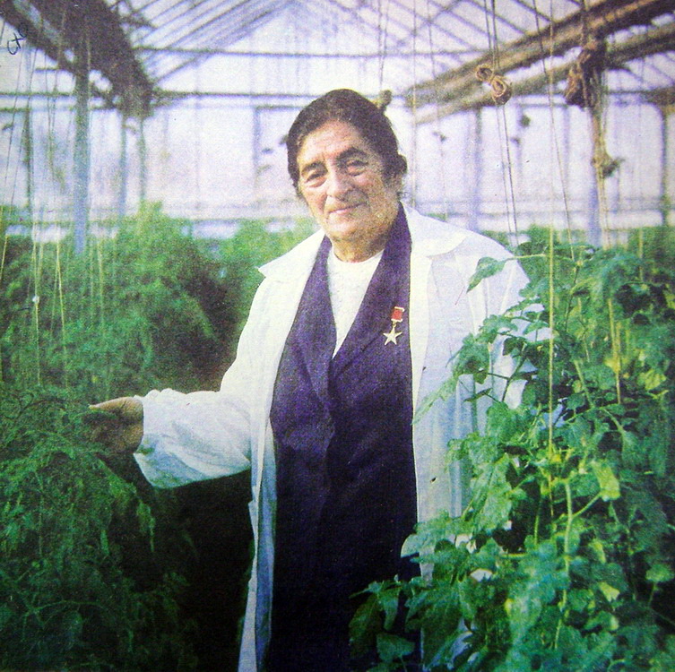 А. А. Ананян