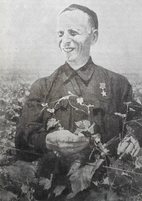 Г.И. Аладашвили