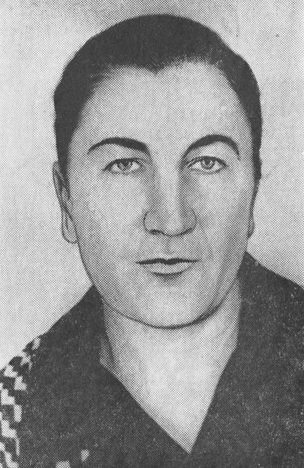 Н.А. Петриашвили