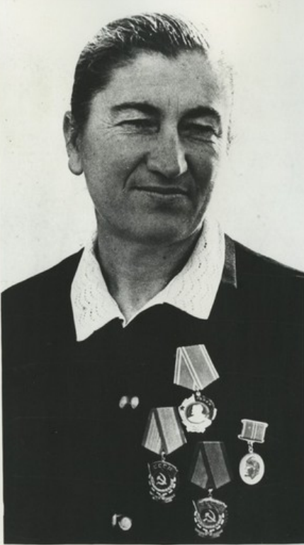Н.А. Петриашвили