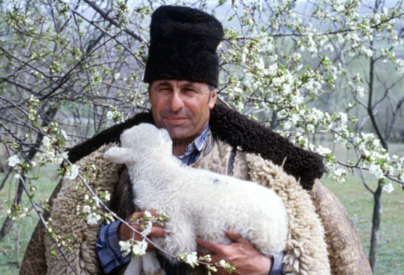 И.А. Шербан