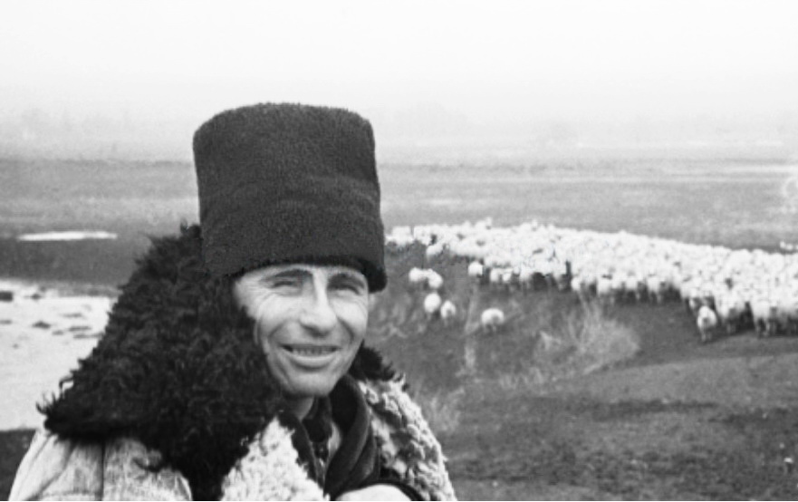 И.А. Шербан