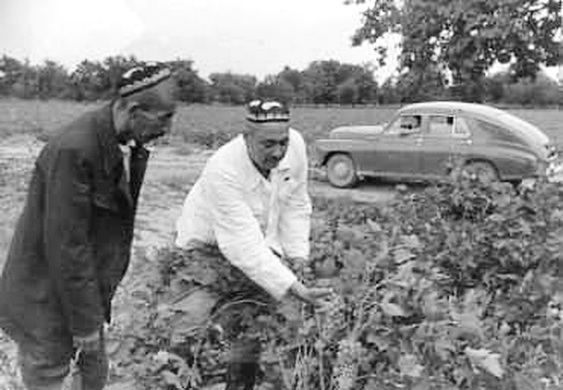 Г. Джаббаров