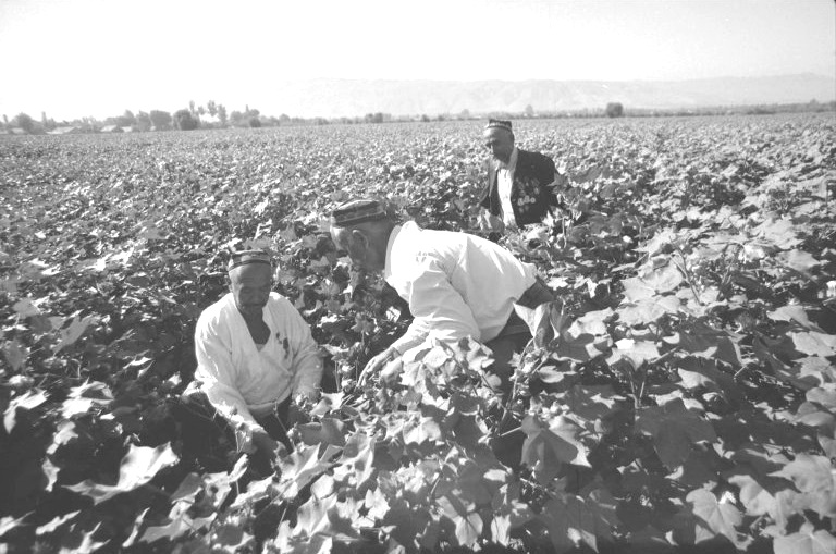 Б. Курбанов